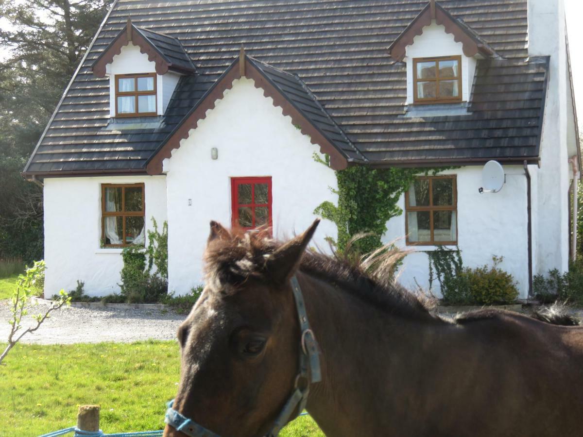 Letterfrack Mountain Farm Cottage On Farm In Village Centre 외부 사진